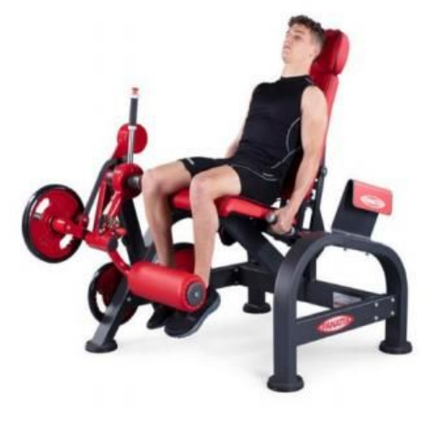 https://locfit.fsys.app.br/imagens/semproduto.png